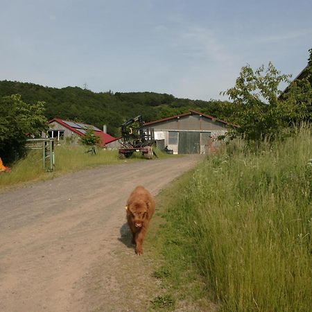 Rech Hof Urlaub Auf Dem Bauernhof Apartman Schalkenbach Kültér fotó