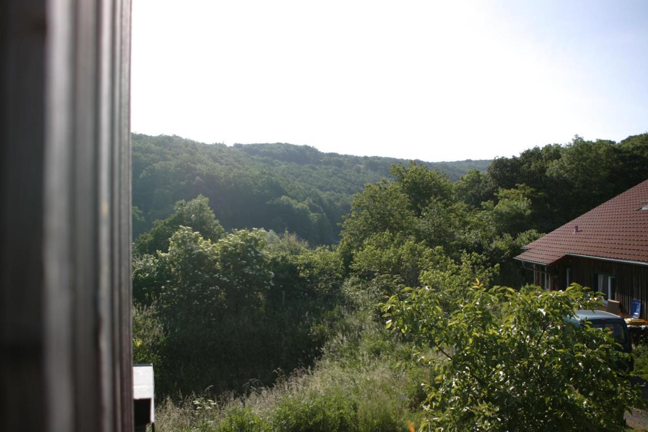Rech Hof Urlaub Auf Dem Bauernhof Apartman Schalkenbach Kültér fotó