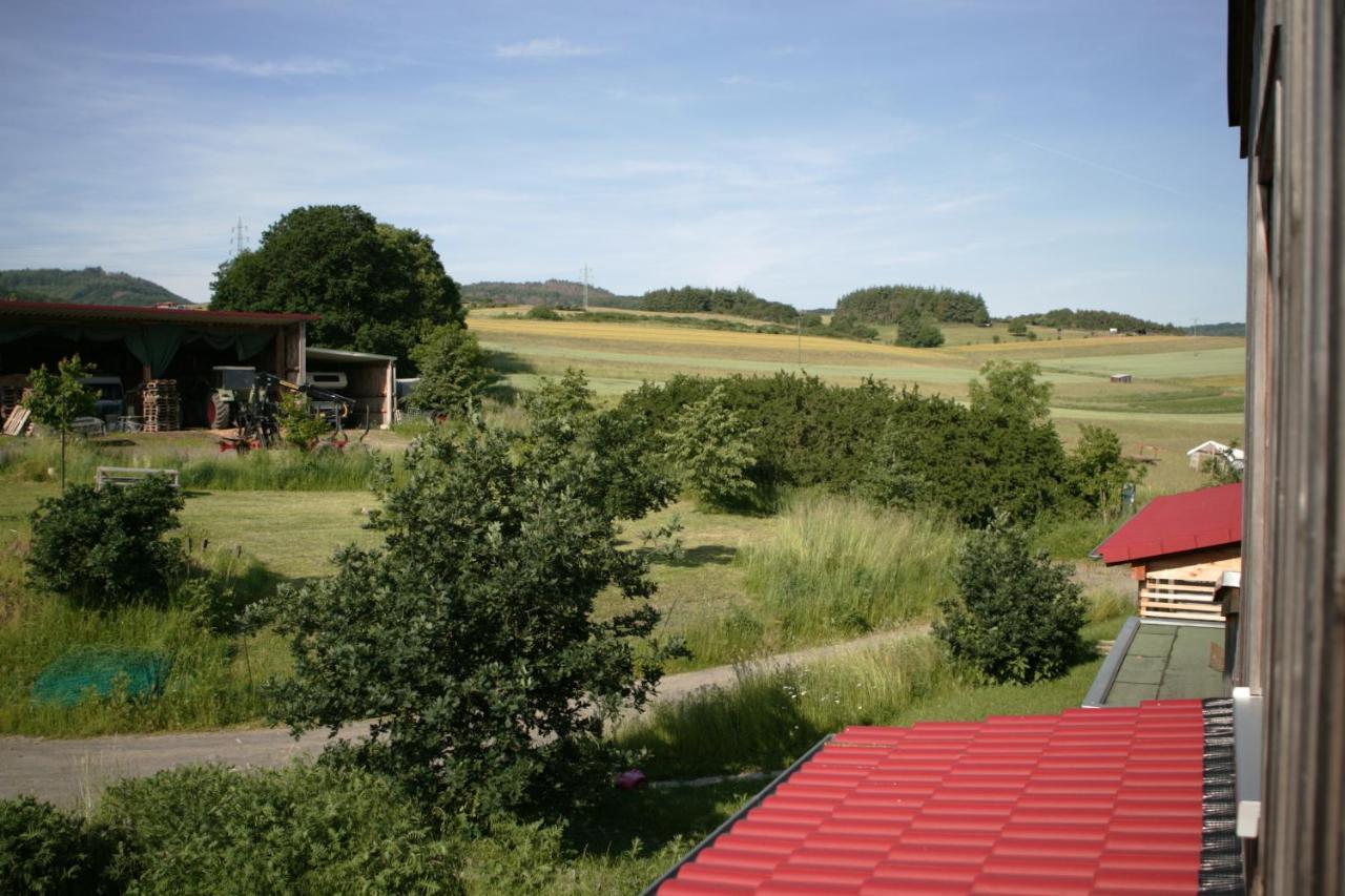 Rech Hof Urlaub Auf Dem Bauernhof Apartman Schalkenbach Kültér fotó