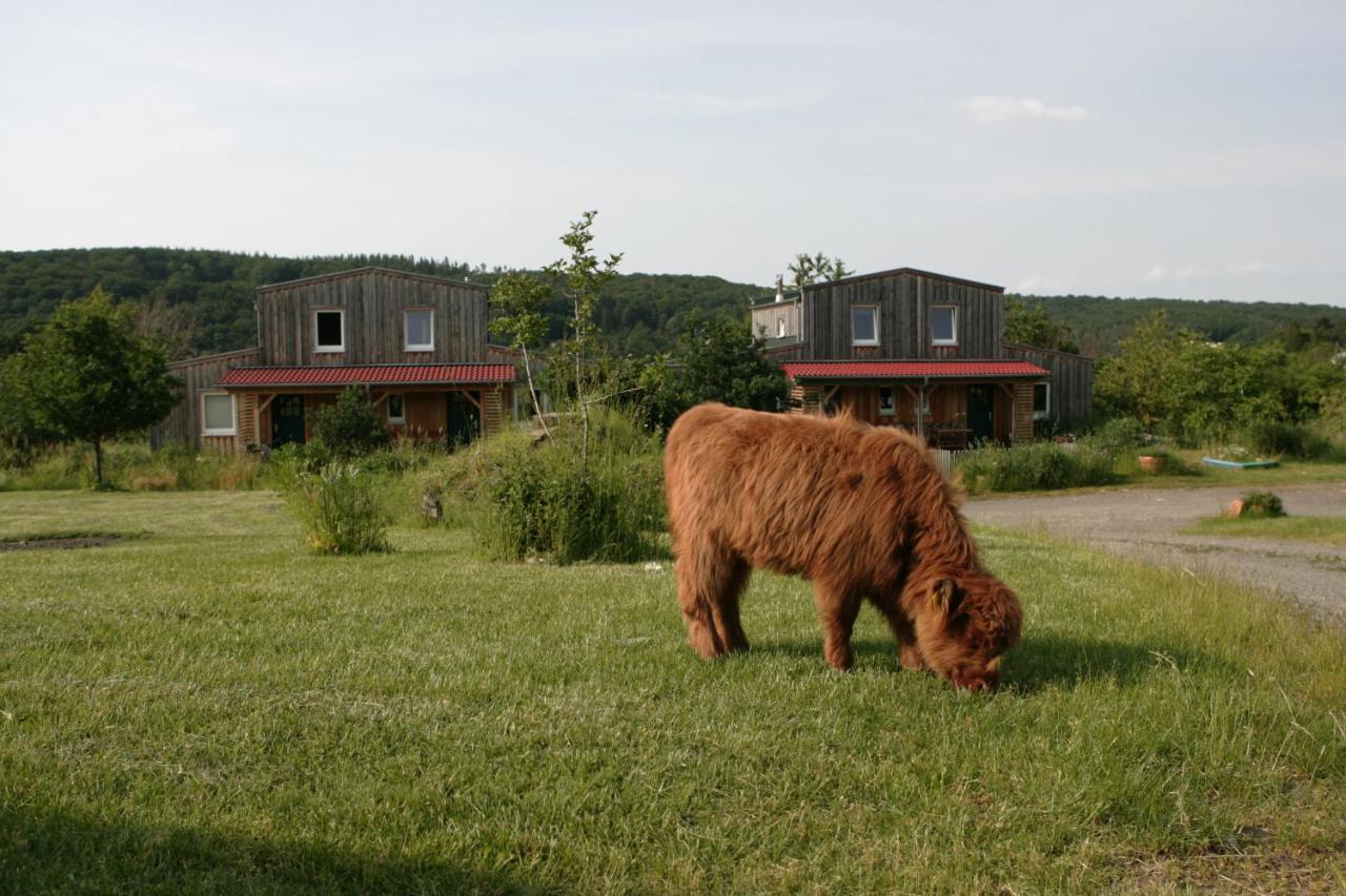 Rech Hof Urlaub Auf Dem Bauernhof Apartman Schalkenbach Kültér fotó