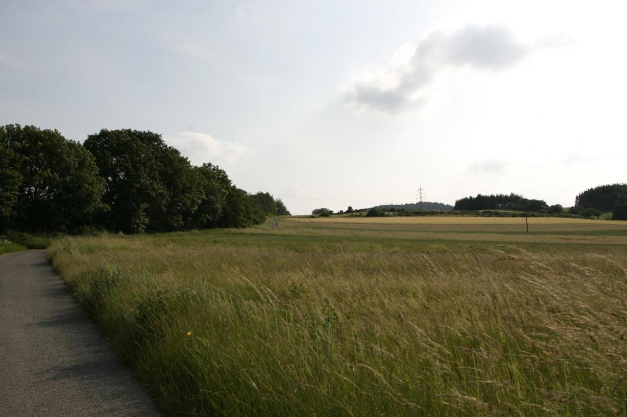 Rech Hof Urlaub Auf Dem Bauernhof Apartman Schalkenbach Kültér fotó