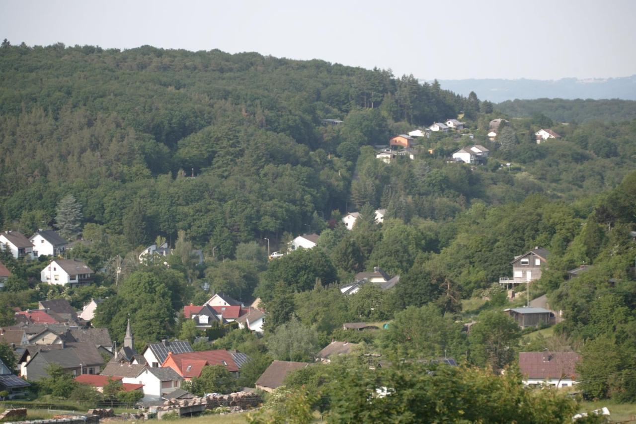 Rech Hof Urlaub Auf Dem Bauernhof Apartman Schalkenbach Kültér fotó