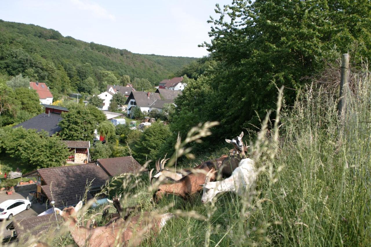 Rech Hof Urlaub Auf Dem Bauernhof Apartman Schalkenbach Kültér fotó