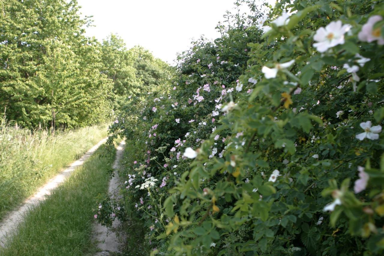 Rech Hof Urlaub Auf Dem Bauernhof Apartman Schalkenbach Kültér fotó